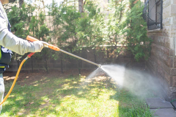 Best Lawn Pest Control  in Saranac, MI